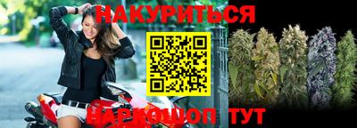 крисы Партизанск