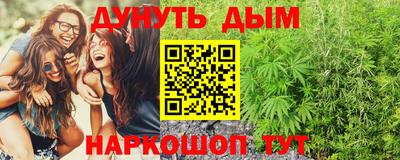 крисы Партизанск