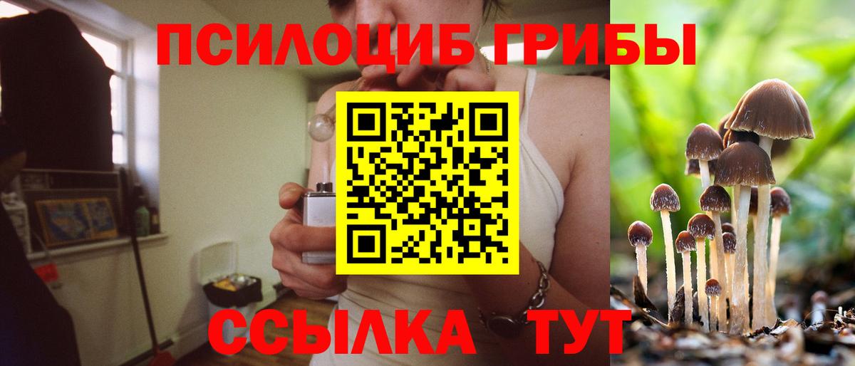 Галлюциногенные грибы ЛСД Партизанск