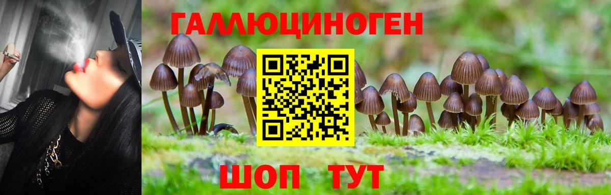  Кокаин Партизанск